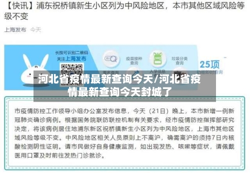 河北省疫情最新查询今天/河北省疫情最新查询今天封城了-第2张图片