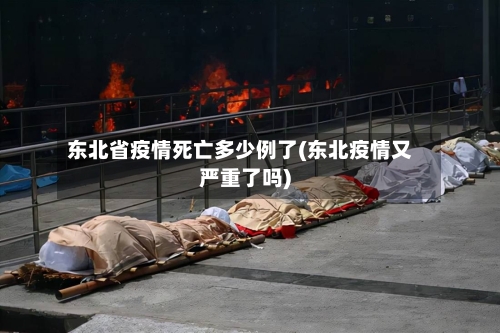 东北省疫情死亡多少例了(东北疫情又严重了吗)-第2张图片