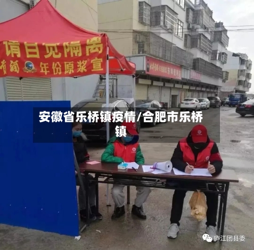 安徽省乐桥镇疫情/合肥市乐桥镇-第2张图片