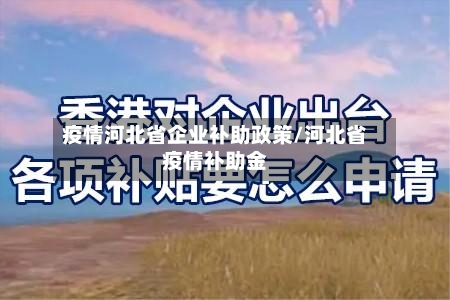 疫情河北省企业补助政策/河北省疫情补助金-第3张图片