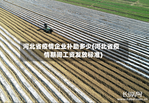 河北省疫情企业补助多少(河北省疫情期间工资发放标准)-第3张图片
