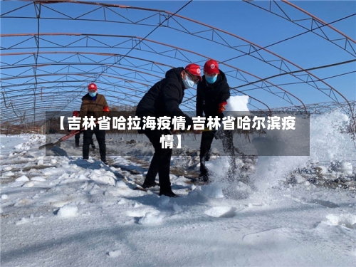 【吉林省哈拉海疫情,吉林省哈尔滨疫情】-第2张图片