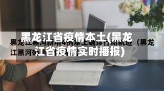 黑龙江省疫情本土(黑龙江省疫情实时播报)-第3张图片