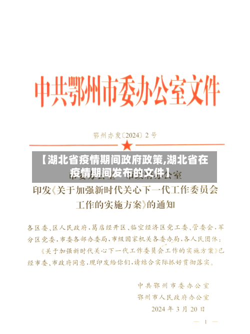 【湖北省疫情期间政府政策,湖北省在疫情期间发布的文件】-第1张图片