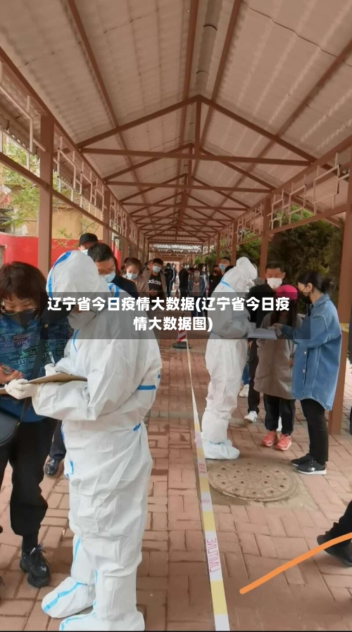 辽宁省今日疫情大数据(辽宁省今日疫情大数据图)-第2张图片