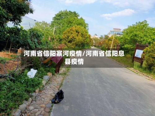 河南省信阳寨河疫情/河南省信阳息县疫情-第2张图片