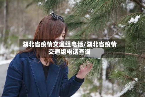 湖北省疫情交通组电话/湖北省疫情交通组电话查询-第2张图片