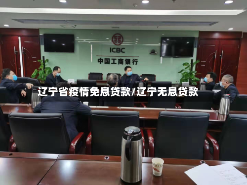 辽宁省疫情免息贷款/辽宁无息贷款-第3张图片