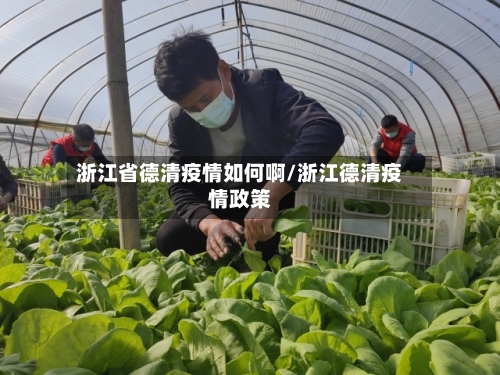 浙江省德清疫情如何啊/浙江德清疫情政策-第2张图片