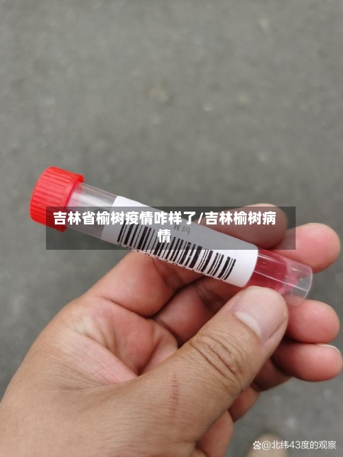 吉林省榆树疫情咋样了/吉林榆树病情-第2张图片
