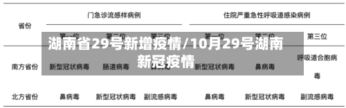 湖南省29号新增疫情/10月29号湖南新冠疫情-第1张图片