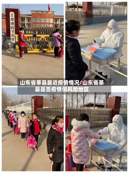山东省莘县最近疫情情况/山东省莘县是否疫情低风险地区-第1张图片