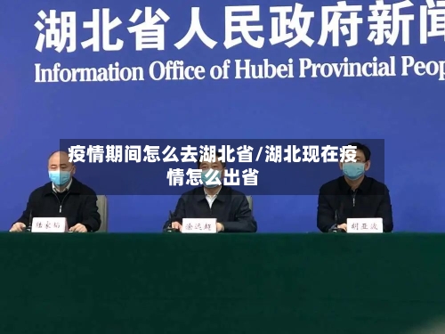 疫情期间怎么去湖北省/湖北现在疫情怎么出省-第1张图片