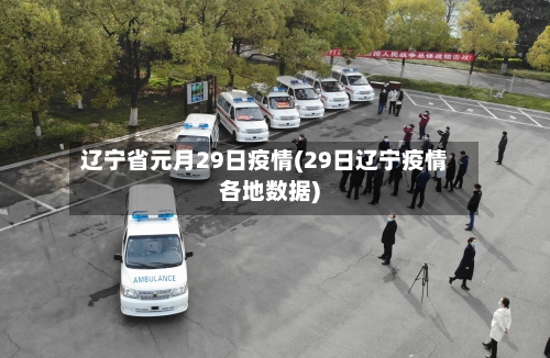 辽宁省元月29日疫情(29日辽宁疫情各地数据)-第1张图片