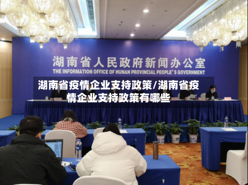 湖南省疫情企业支持政策/湖南省疫情企业支持政策有哪些-第3张图片