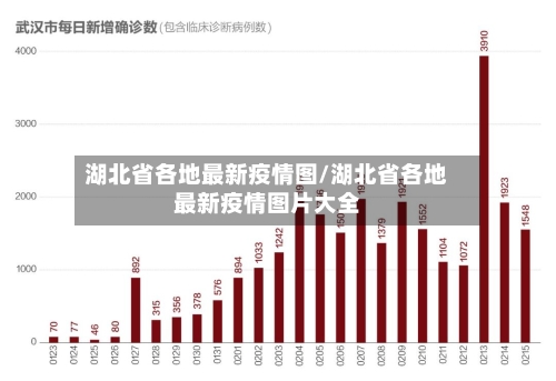 湖北省各地最新疫情图/湖北省各地最新疫情图片大全-第2张图片