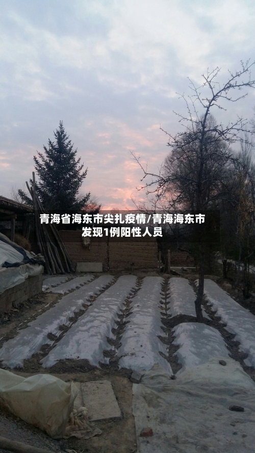 青海省海东市尖扎疫情/青海海东市发现1例阳性人员-第2张图片
