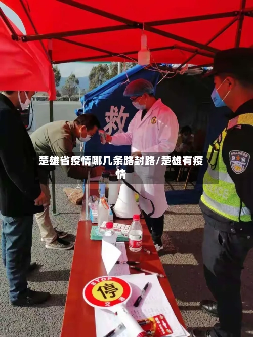 楚雄省疫情哪几条路封路/楚雄有疫情-第3张图片