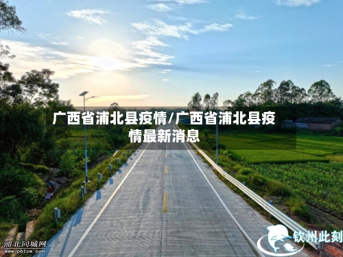 广西省浦北县疫情/广西省浦北县疫情最新消息-第2张图片