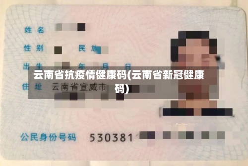 云南省抗疫情健康码(云南省新冠健康码)-第2张图片