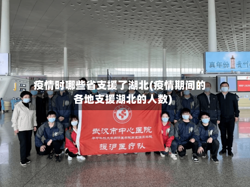 疫情时哪些省支援了湖北(疫情期间的各地支援湖北的人数)-第3张图片