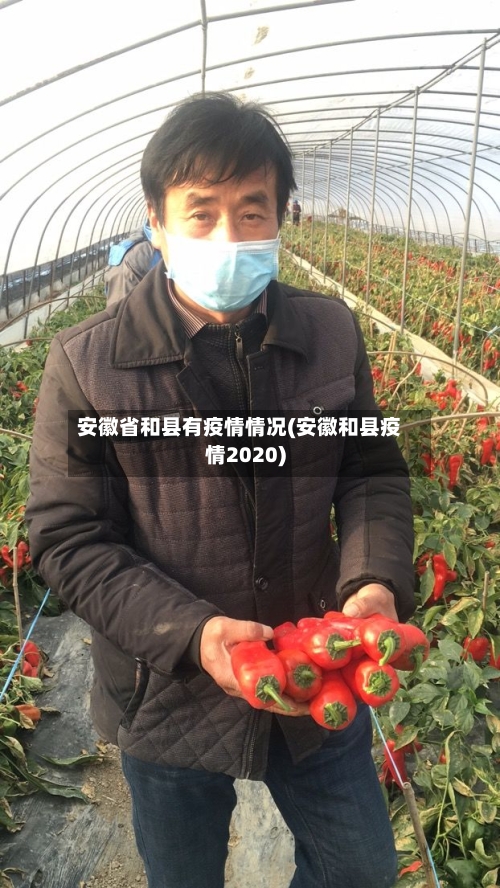 安徽省和县有疫情情况(安徽和县疫情2020)-第2张图片