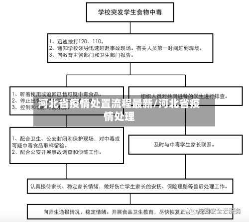 河北省疫情处置流程最新/河北省疫情处理-第2张图片
