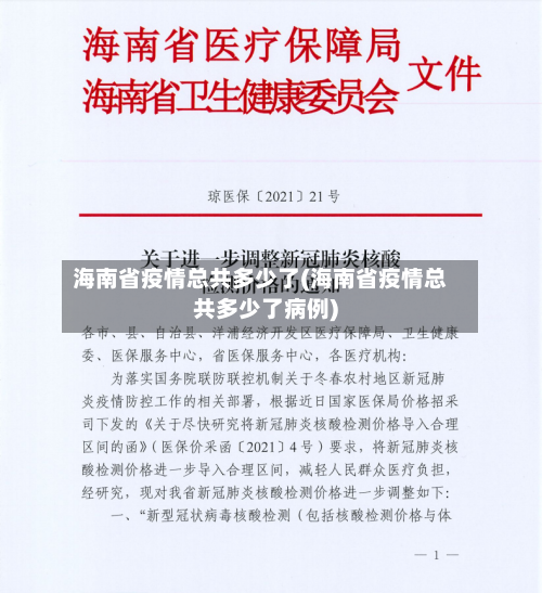 海南省疫情总共多少了(海南省疫情总共多少了病例)-第1张图片