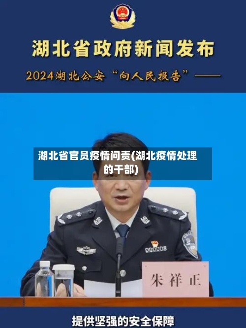 湖北省官员疫情问责(湖北疫情处理的干部)-第1张图片