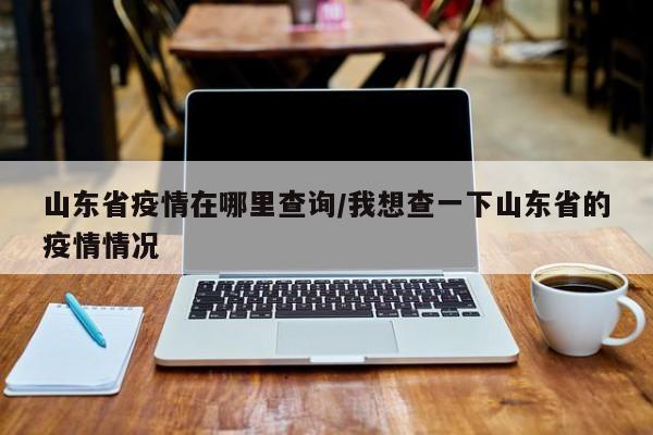 山东省疫情在哪里查询/我想查一下山东省的疫情情况
