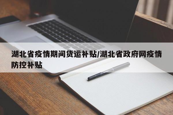 湖北省疫情期间货运补贴/湖北省政府网疫情防控补贴