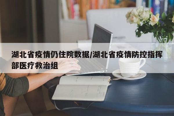 湖北省疫情仍住院数据/湖北省疫情防控指挥部医疗救治组