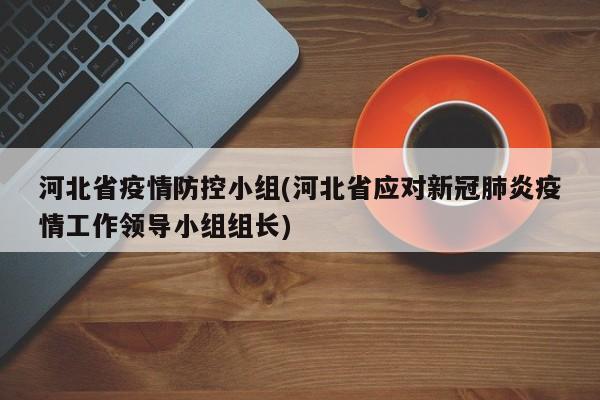河北省疫情防控小组(河北省应对新冠肺炎疫情工作领导小组组长)